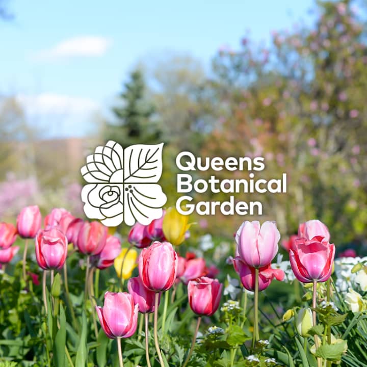 Queens Botanical Garden 2